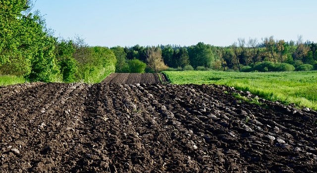 Microbioma del suelo y bioinsumos: por qué la validación científica será clave para la agroindustria en Perú y Latinoamérica