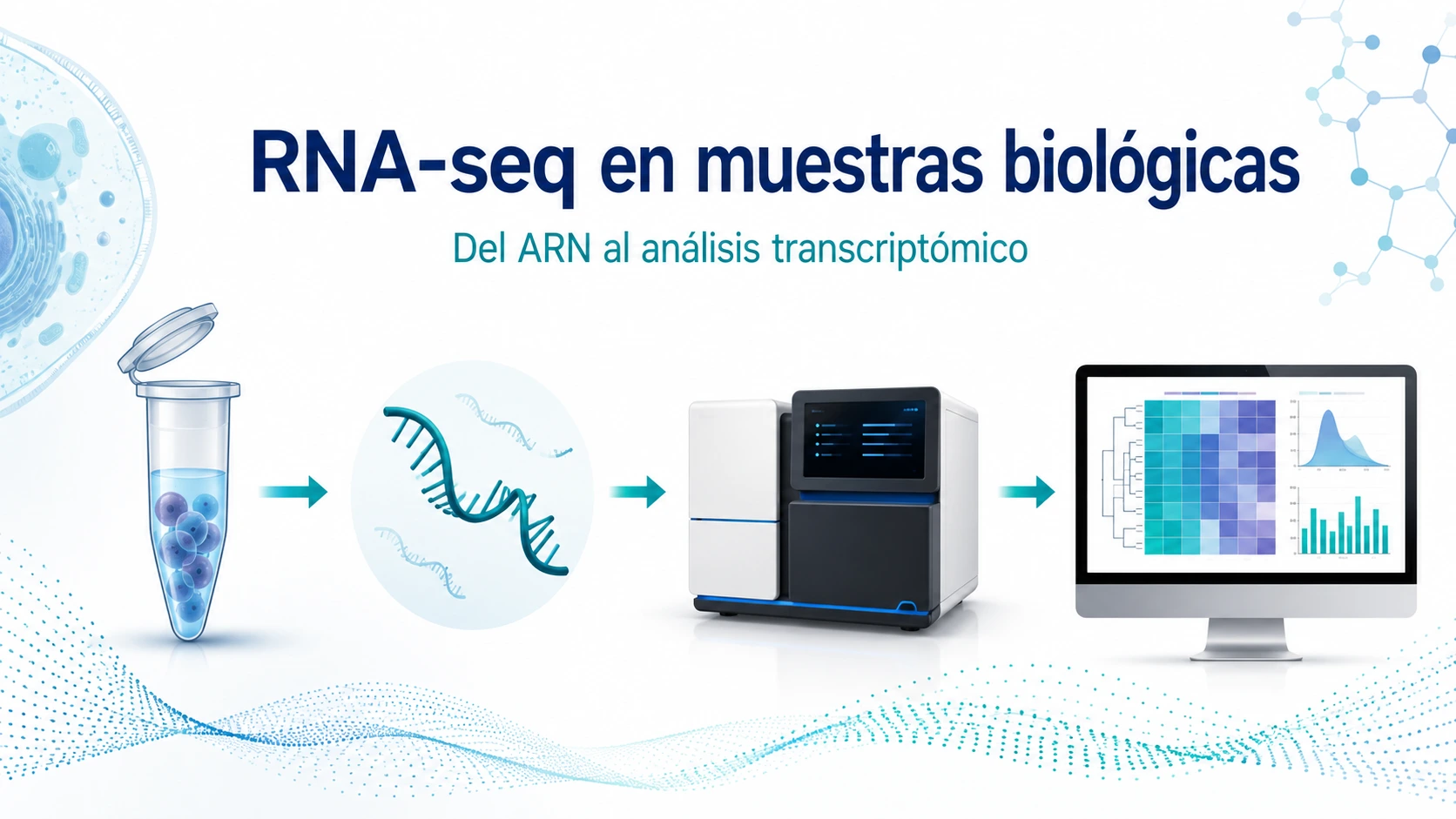 RNA-seq en muestras biológicas: del ARN al análisis transcriptómico